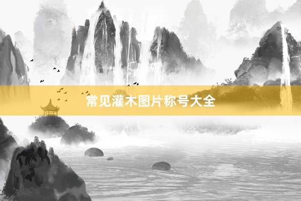 常见灌木图片称号大全