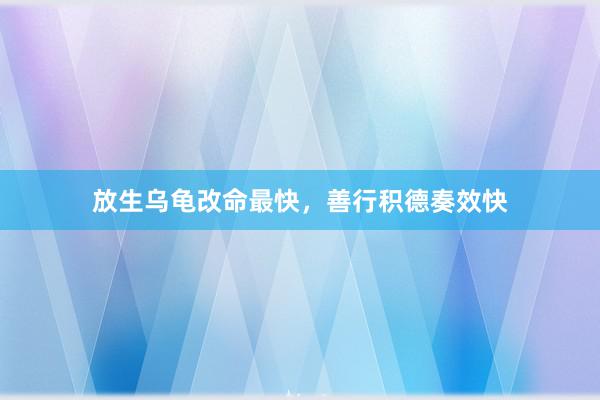 放生乌龟改命最快，善行积德奏效快